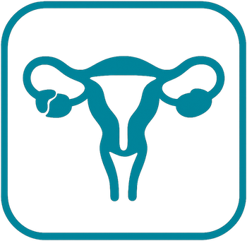 Ginecología y Obstetricia