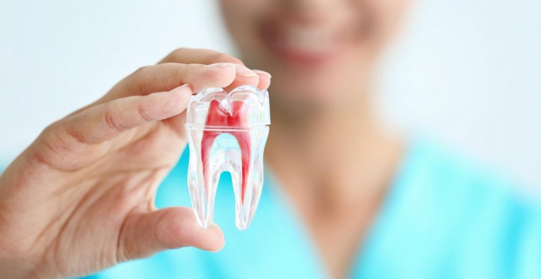 Especialidad en Odontología - Centro de Especialidades Médicas DaLuz